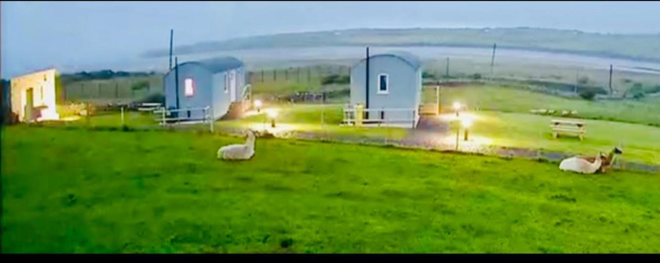 The Snuggly Sheep Shepherd Hut Farm Stay Ballyshannon Extérieur photo